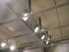immagine46.JPG (51094 byte)