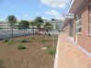 immagine57.JPG (87653 byte)