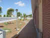 immagine58.JPG (81238 byte)